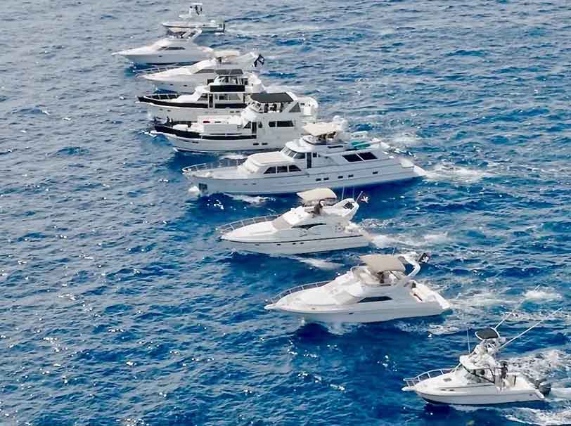 F1D62DF1-776F-42B4-A65A-9A2C82B6AF5A_1_105_c